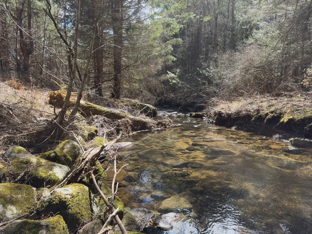 151 Ashfield Road, Williamsburg, MA 01096 - #1