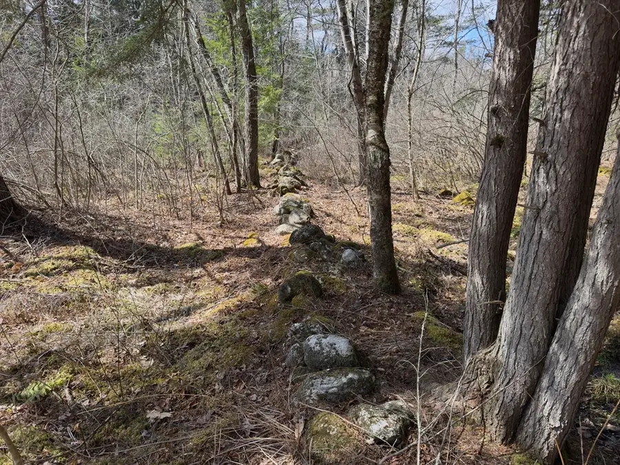 151 Ashfield Road, Williamsburg, MA 01096 - #2