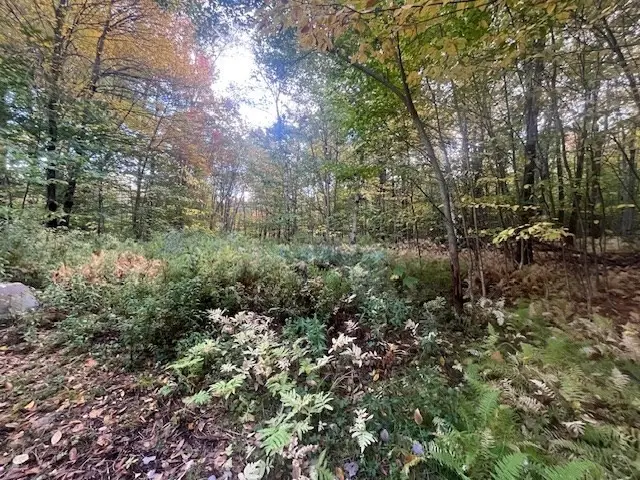 0 Stryker Road, Florida, MA 01247 - #3