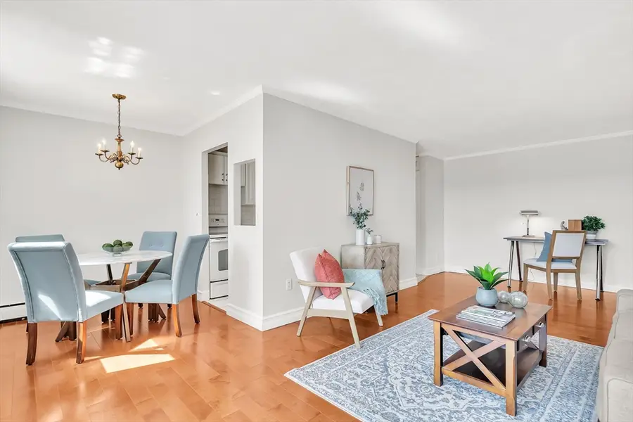 123 Sewall Ave #3A, Brookline, MA 02446 - #3