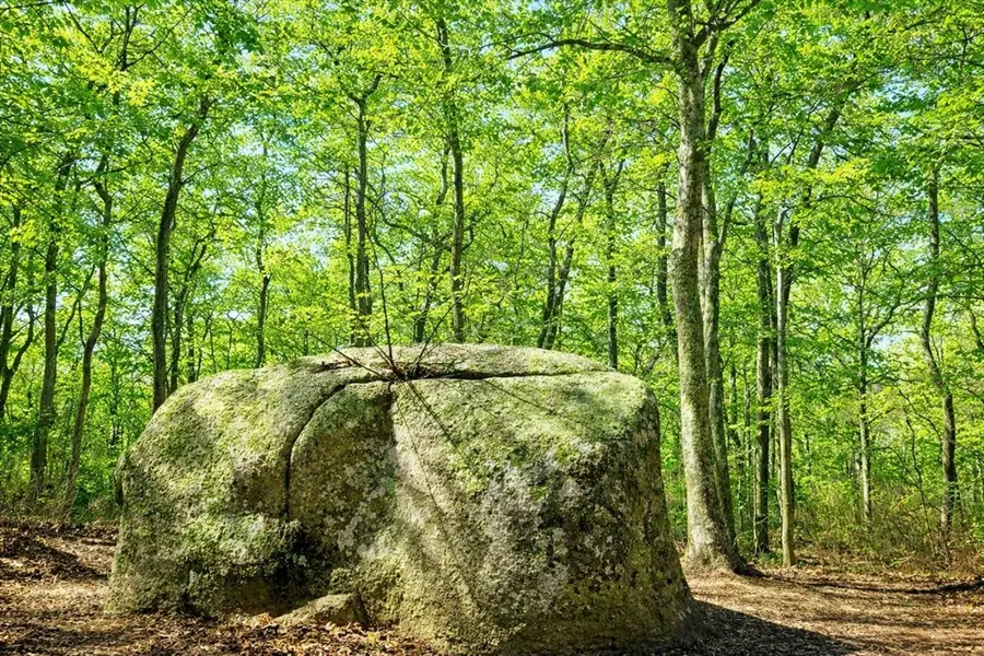 0/15 North Road/belhaven Way, Chilmark, MA 02535 - #2