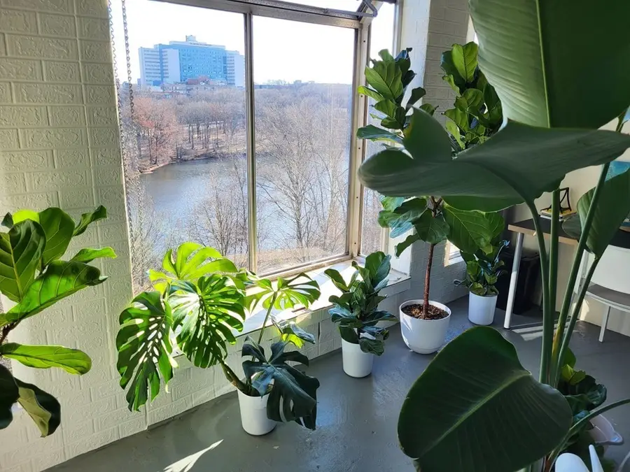 33 Pond Ave. #915, Brookline, MA 02445 - #3