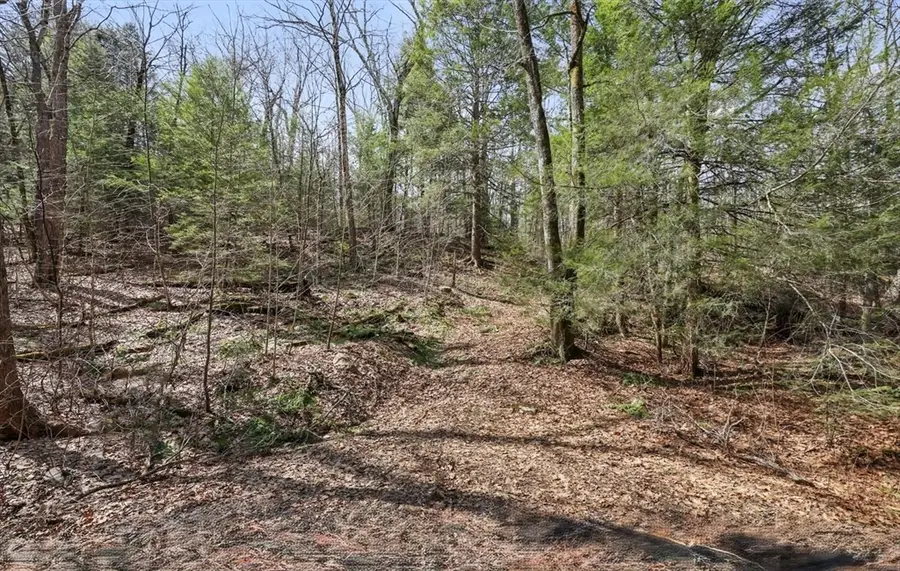 8 Hemlock Rd, Tyringham, MA 01264 - #2