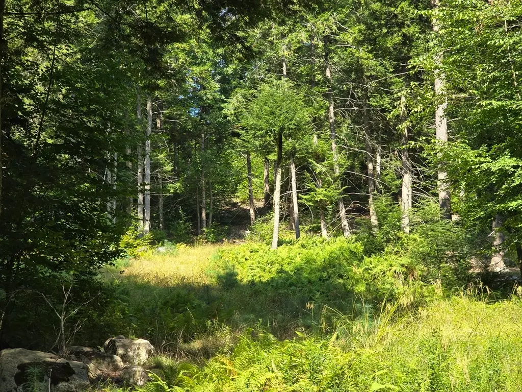 0 Magee Rd, Stamford, VT 05352 - #1