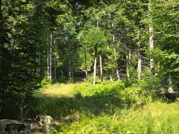 0 Magee Rd, Stamford, VT 05352