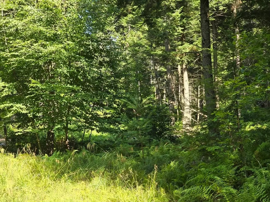 0 Magee Rd, Stamford, VT 05352 - #3