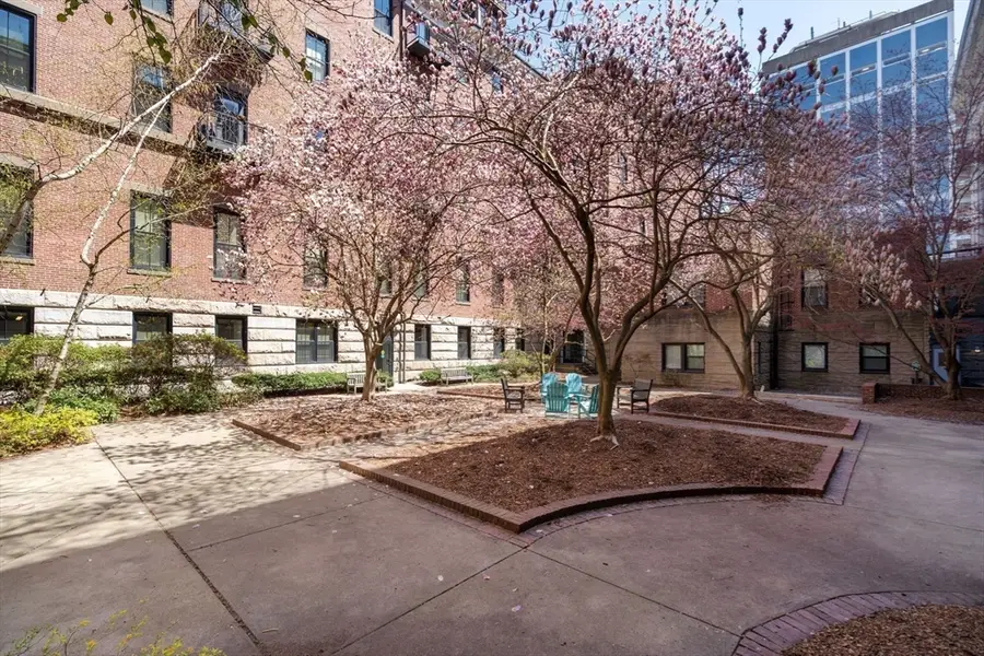 771 Harrison Ave. #THA, Boston, MA 02118 - #3