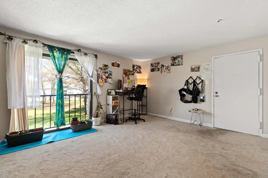 10 Village Green Ln #19, Natick, MA 01760 - #3