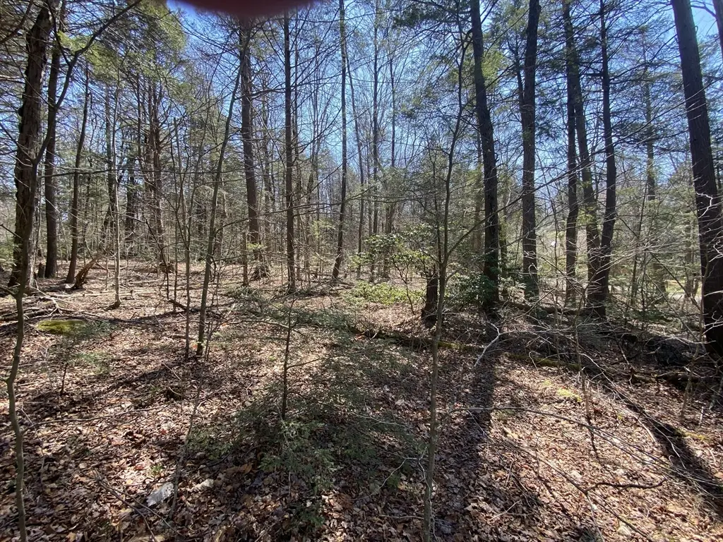 Lot 43 South Village Rd, Tolland, MA 01034 - #1