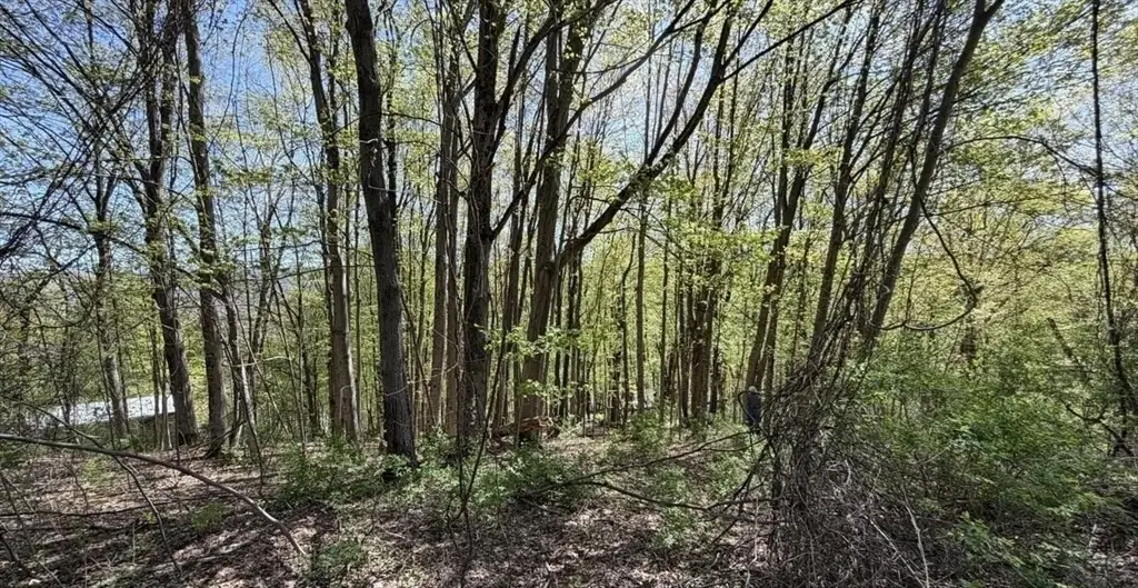 Lots 2A-3A Reservoir Road, North Adams, MA 01247 - #1