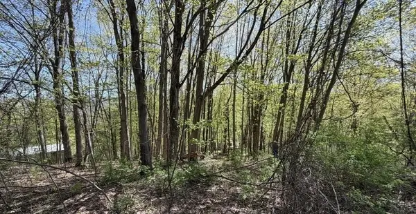 Lots 2A-3A Reservoir Road, North Adams, MA 01247