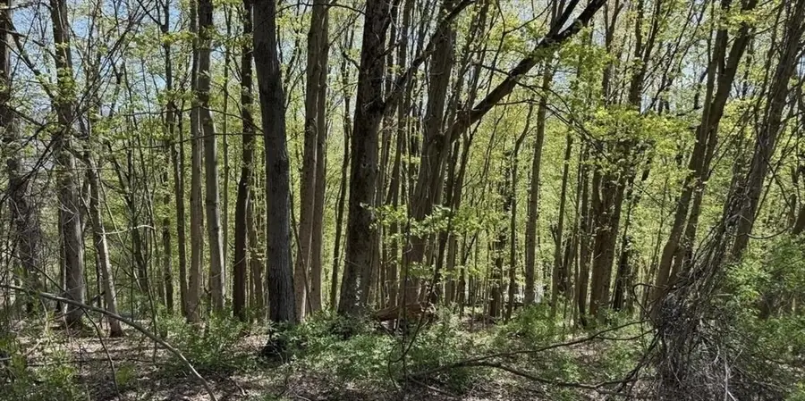 Lots 2A-3A Reservoir Road, North Adams, MA 01247 - #3