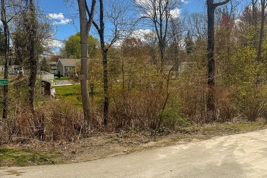 9 Luther Ave, Worcester, MA 01605 - #2