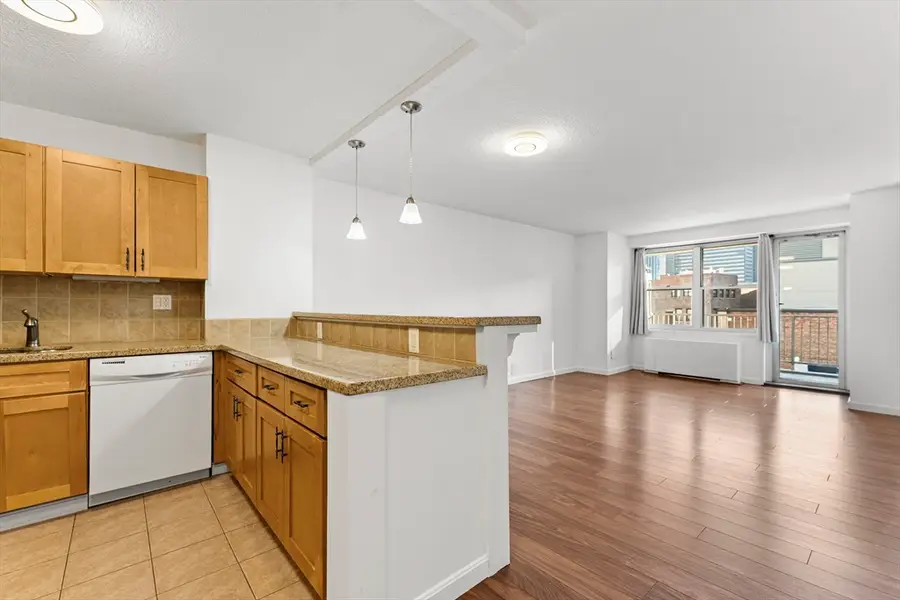 151 Tremont St #11U, Boston, MA 02111 - #3