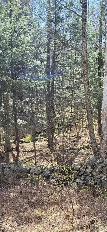 360 Jacob's Ladder Rd., Becket, MA 01223 - #3