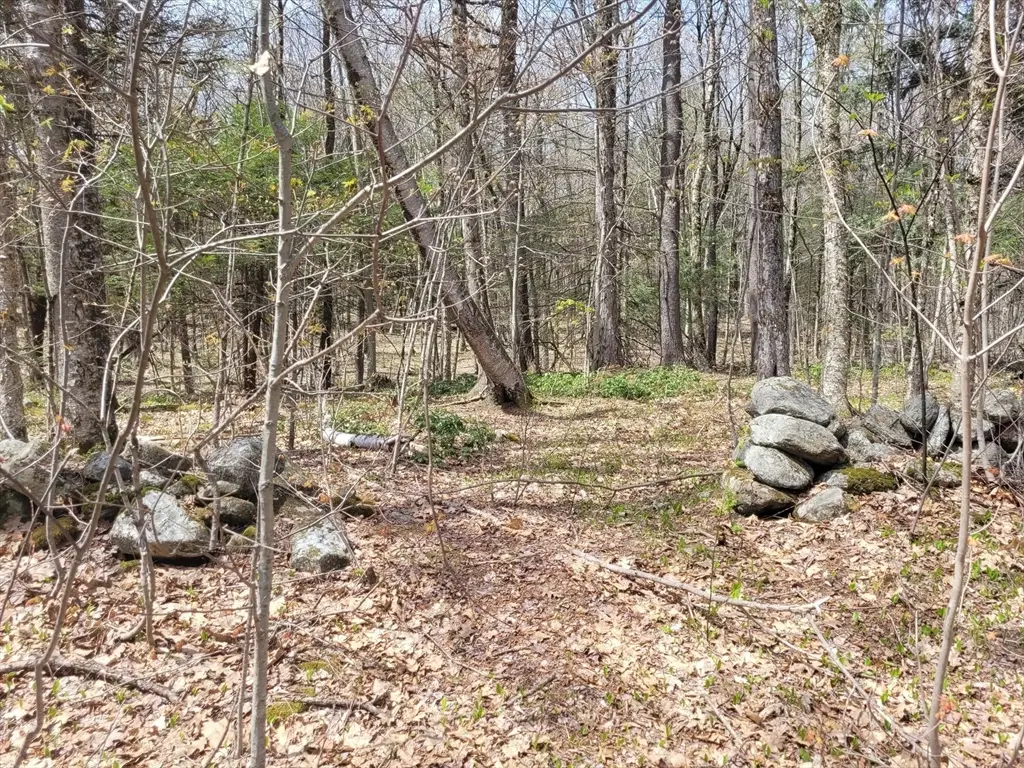 Lot 3 Town Hill Rd, Sandisfield, MA 01255 - #1