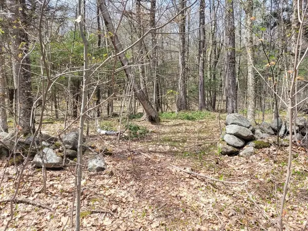 Lot 3 Town Hill Rd, Sandisfield, MA 01255