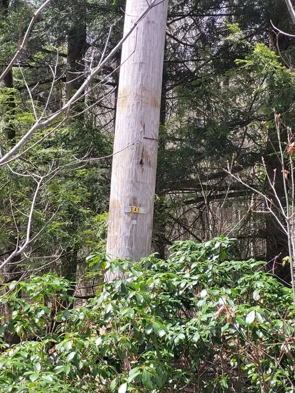 Lot 3 Town Hill Rd, Sandisfield, MA 01255 - #3