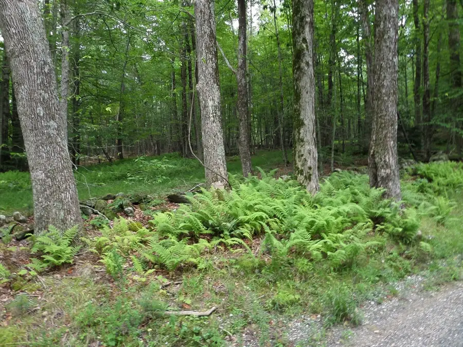 0 Pynchon Rd, Chesterfield, MA 01012 - #2