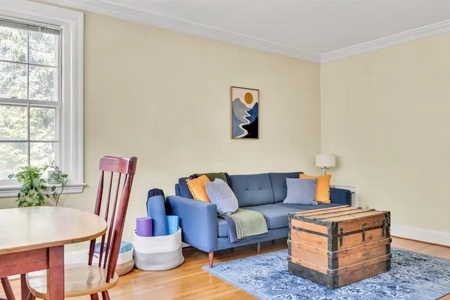 393 Broadway #10, Cambridge, MA 02139 - #3