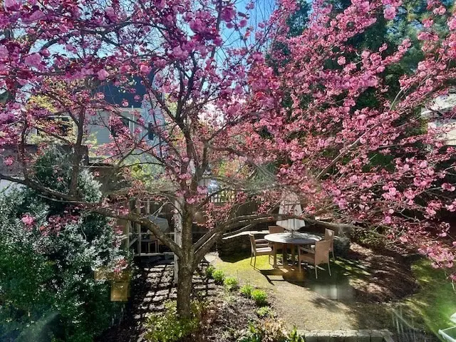 121 Thorndike Street, Brookline, MA 02446 - #2