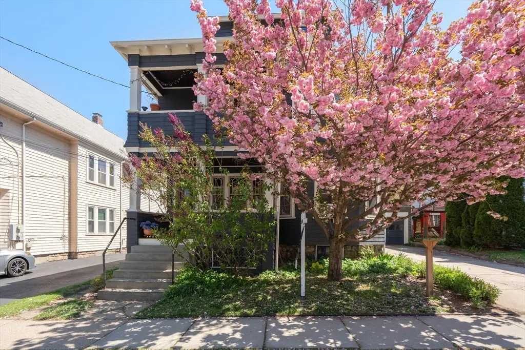 45 Springfield Street #1, Belmont, MA 02478 - #1