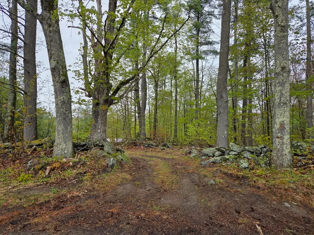 Lot 3F Petersham Road, Phillipston, MA 01331 - #1