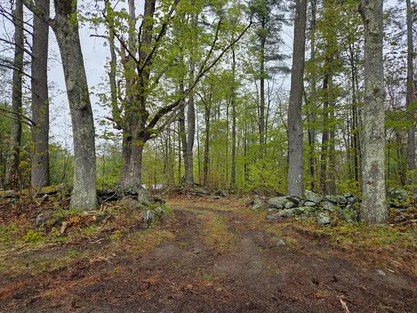Lot 3F Petersham Road, Phillipston, MA 01331