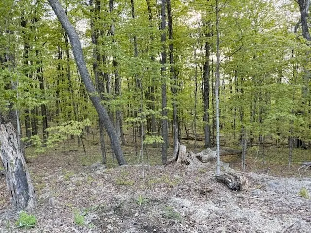 0 North Main St, Petersham, MA 01366 - #2