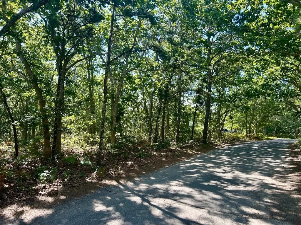 11 Boylston Drive, Edgartown, MA 02539 - #1
