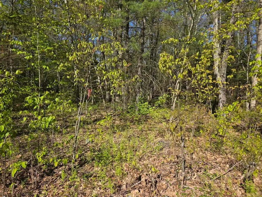 lot 14 West St, Ludlow, MA 01056 - #2