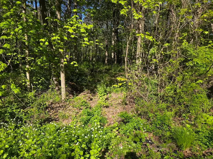lot 14 West St, Ludlow, MA 01056 - #3