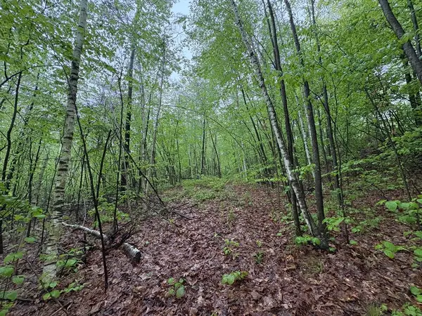 TBD Lower Road, Deerfield, MA 01342