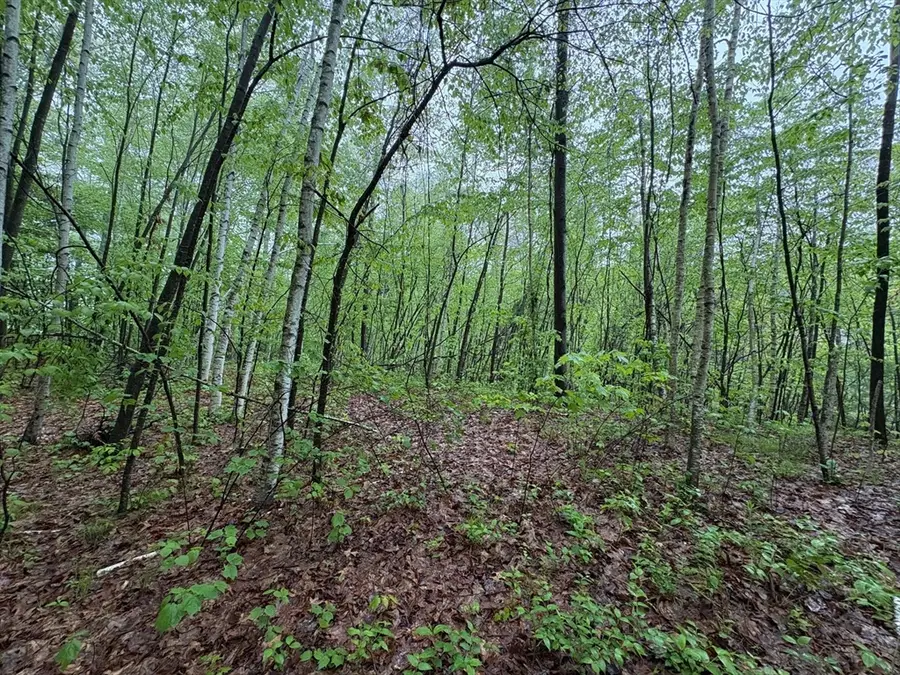 TBD Lower Road, Deerfield, MA 01342 - #2