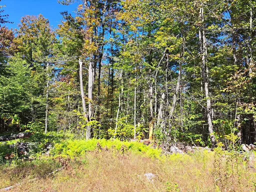 Lot "B" Beulah Land Rd, Blandford, MA 01008 - #1