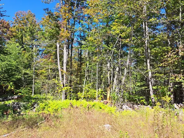 Lot "B" Beulah Land Rd, Blandford, MA 01008