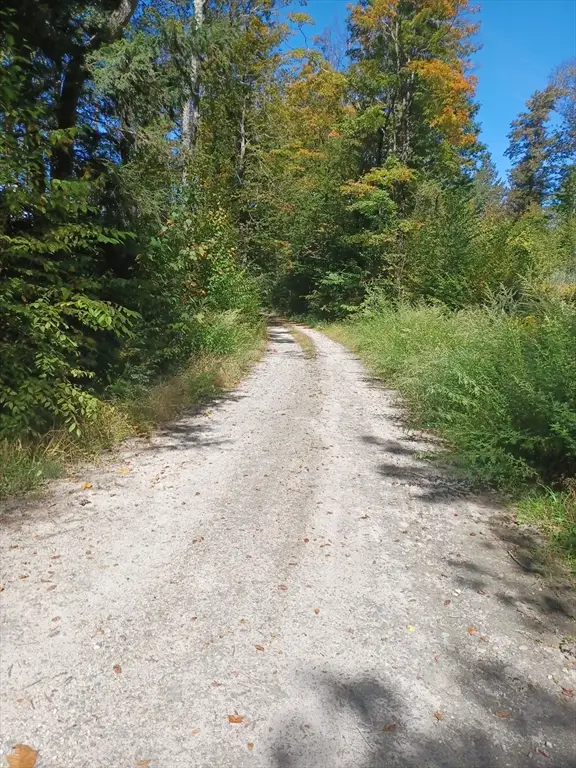 Lot "B" Beulah Land Rd, Blandford, MA 01008 - #2