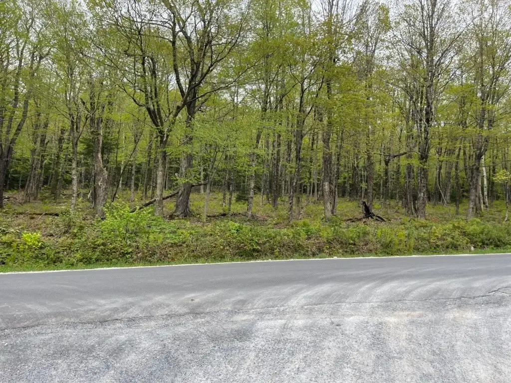 174 Tilda Hill Rd, Florida, MA 01247 - #1