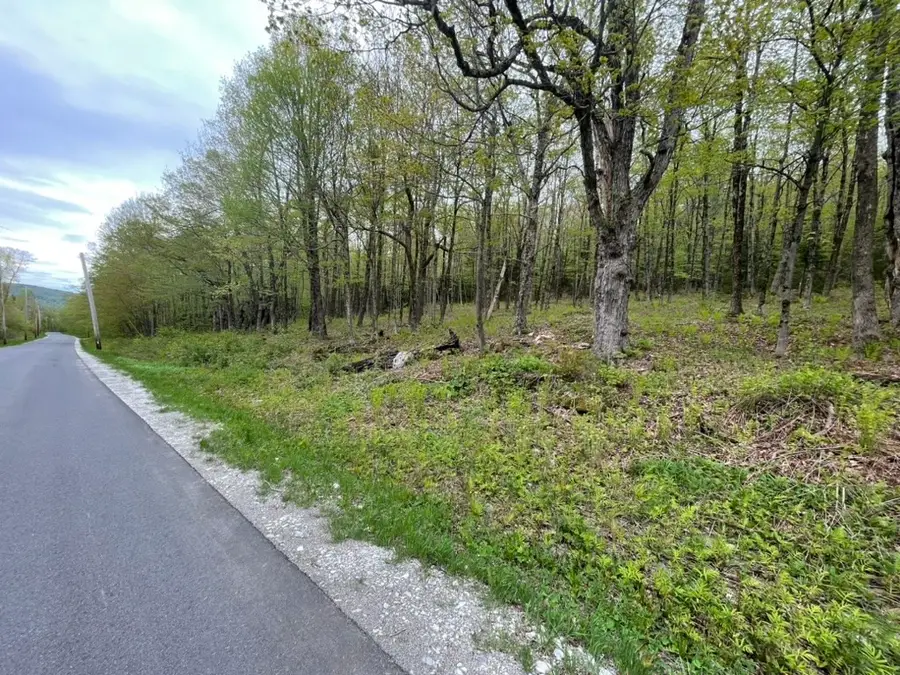 174 Tilda Hill Rd, Florida, MA 01247 - #2