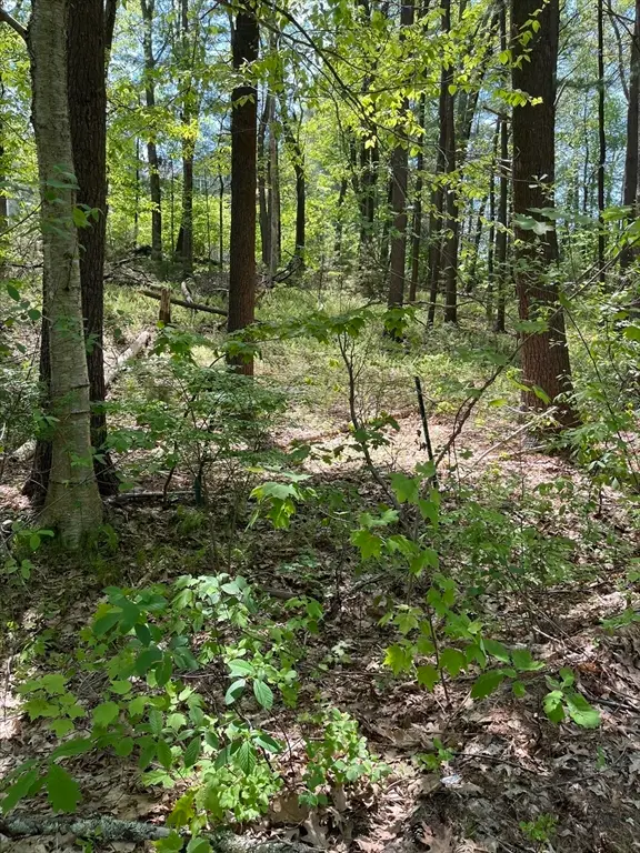 Lot A-2 Durkee Lane, Westford, MA 01886
