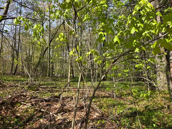 Lot 12W Chicopee Drive, Hubbardston, MA 01452