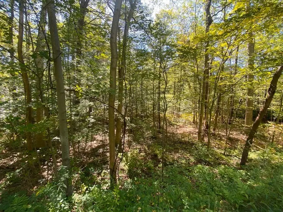 45 Fox Hill Rd, Mashpee, MA 02649 - #2