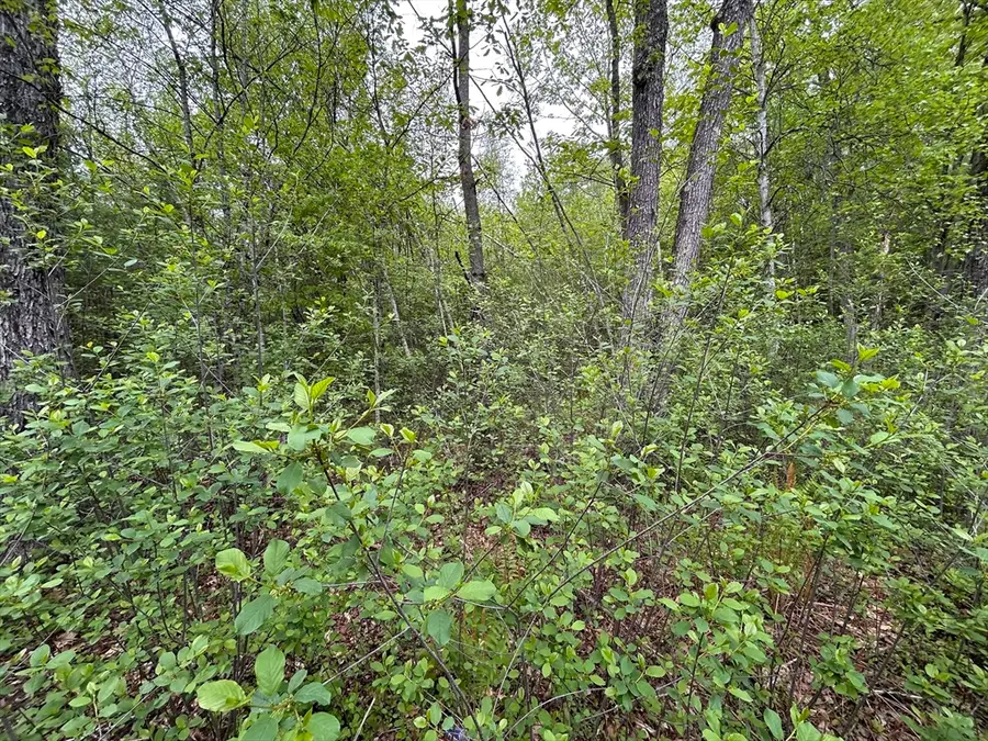 0 Lot 2 Stoddard Rd, Winchendon, MA 01475 - #3