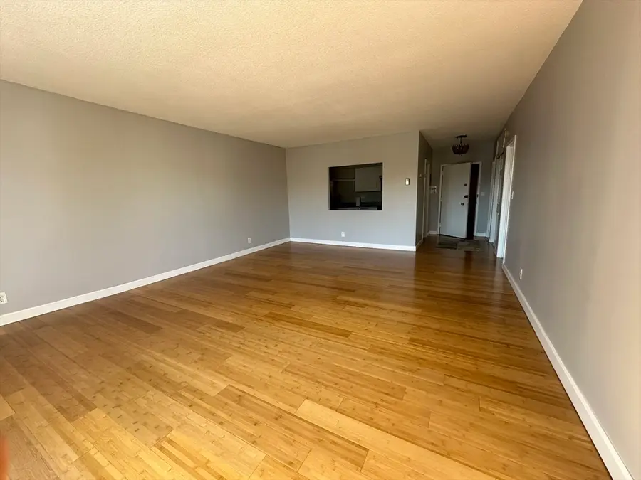 22 Chestnut Pl #306, Brookline, MA 02445 - #3
