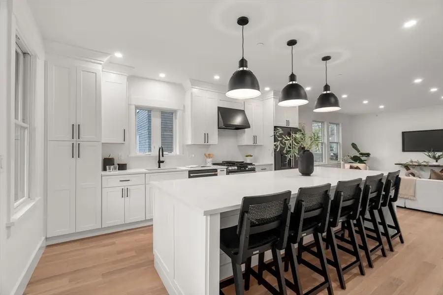 26 Adelaide Street #2, Boston, MA 02130 - #3