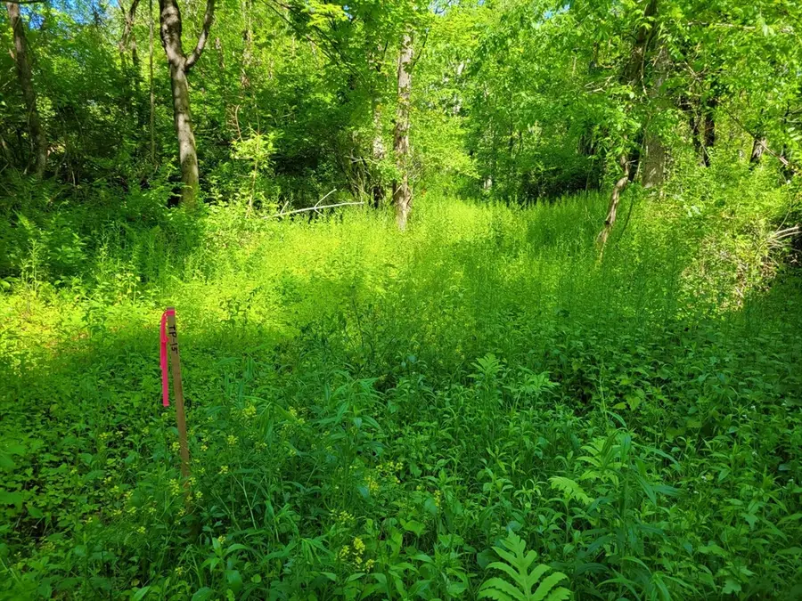 Lot 6 Daniels Rd, Charlton, MA 01507 - #3