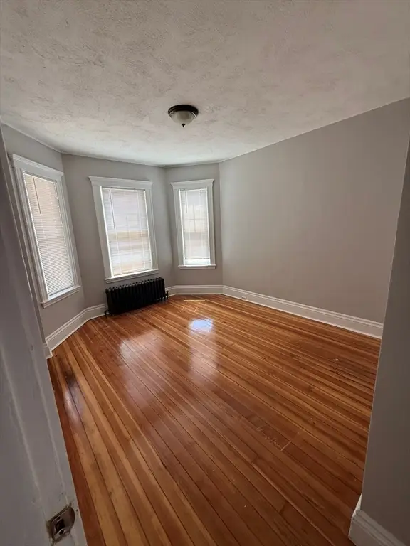 19 Irma Street, Boston, MA 02124 - #3