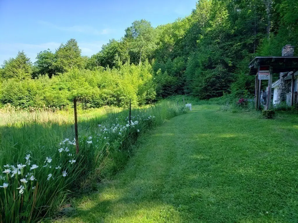31 Goss Hill Rd, Huntington, MA 01050 - #1