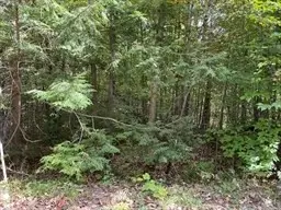 Lot 7&8 Little John, Becket, MA 01223