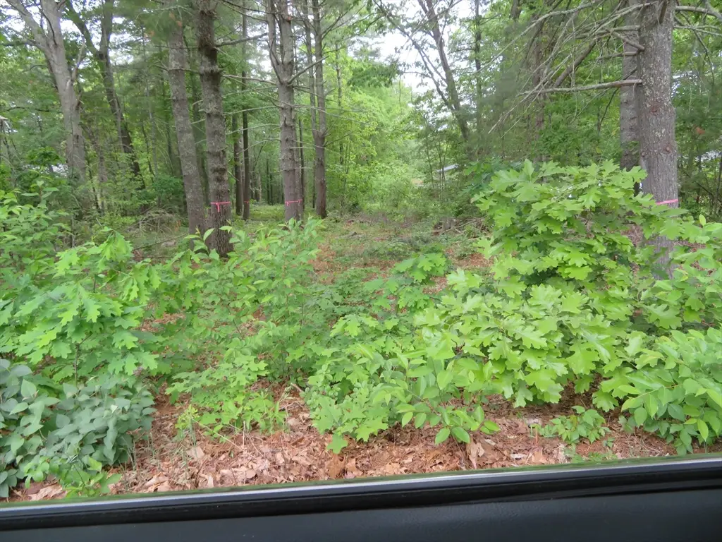 0 Burt Street, Norton, MA 02766 - #1
